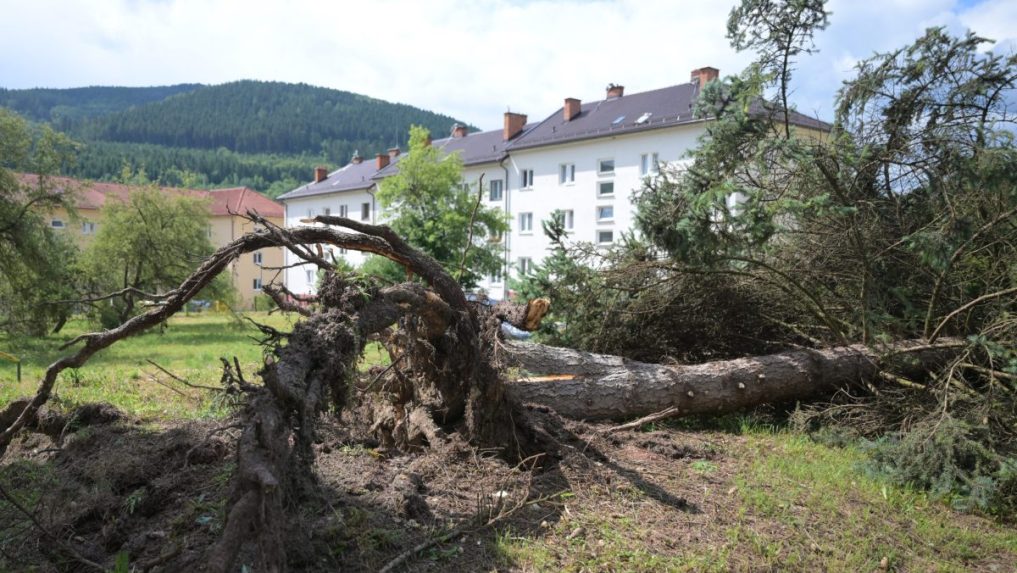 Na snímke padnutý strom po veternej smršti v Gelnici.