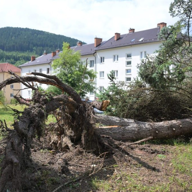 Na snímke padnutý strom po veternej smršti v Gelnici.