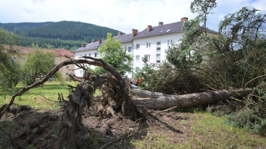 Na snímke padnutý strom po veternej smršti v Gelnici.