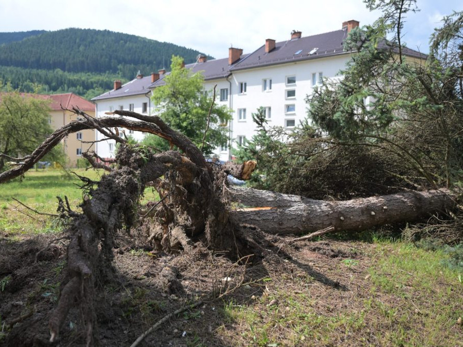 Na snímke vyvrátený strom v meste Gelnica po veternej smršti.