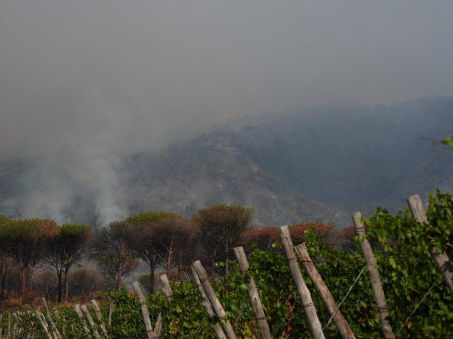 Lesný požiar na úpätí svahu sopky Vezuv neďaleko Neapola.
