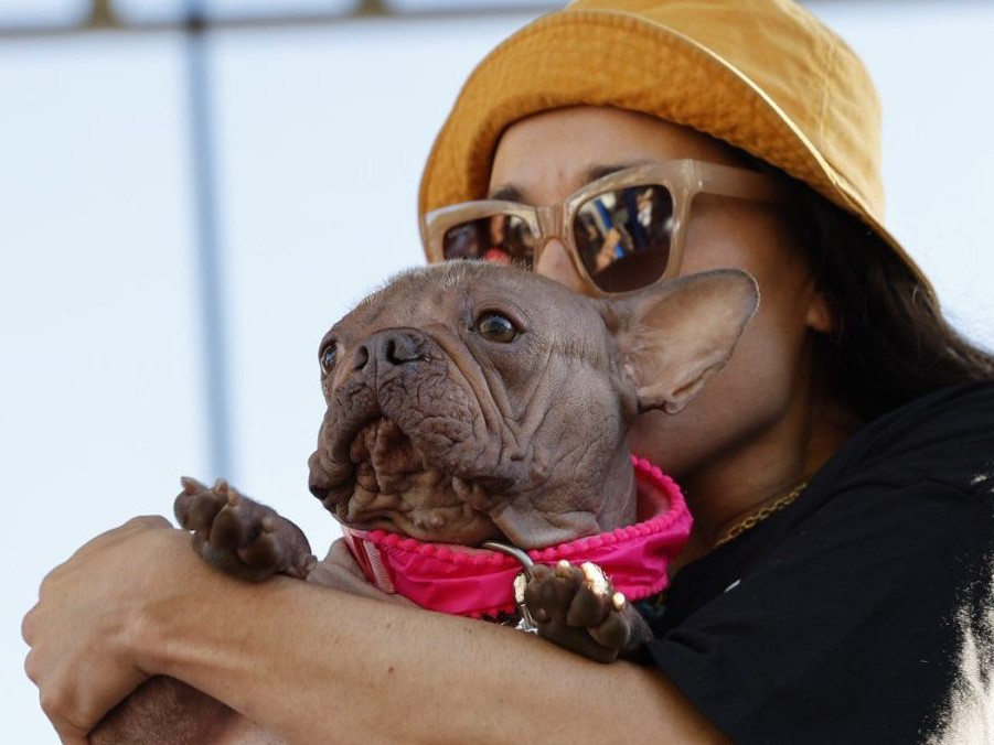 majiteľka so sučkou