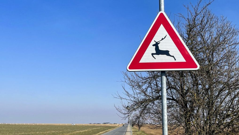 dopravná značka upozorňujúca na lesnú zver