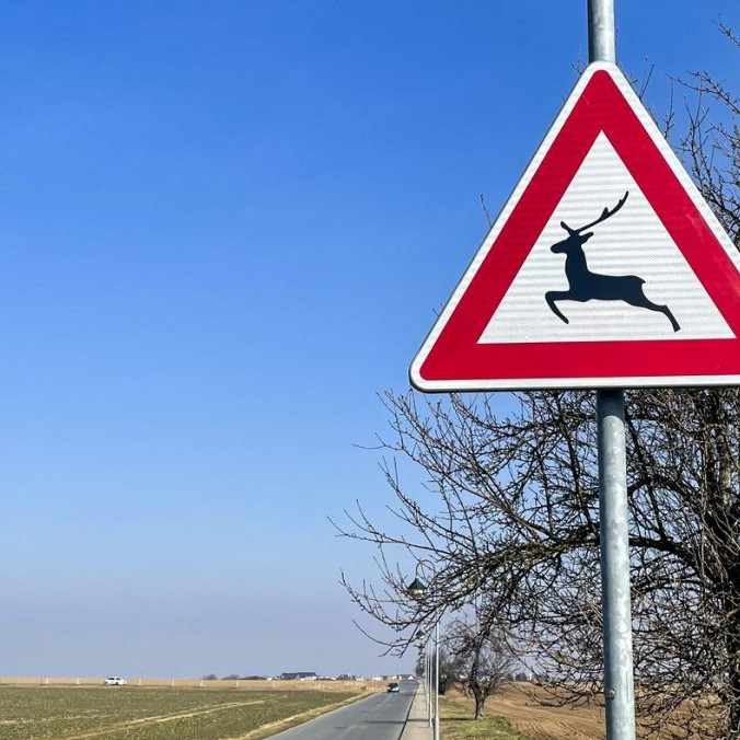 dopravná značka upozorňujúca na lesnú zver