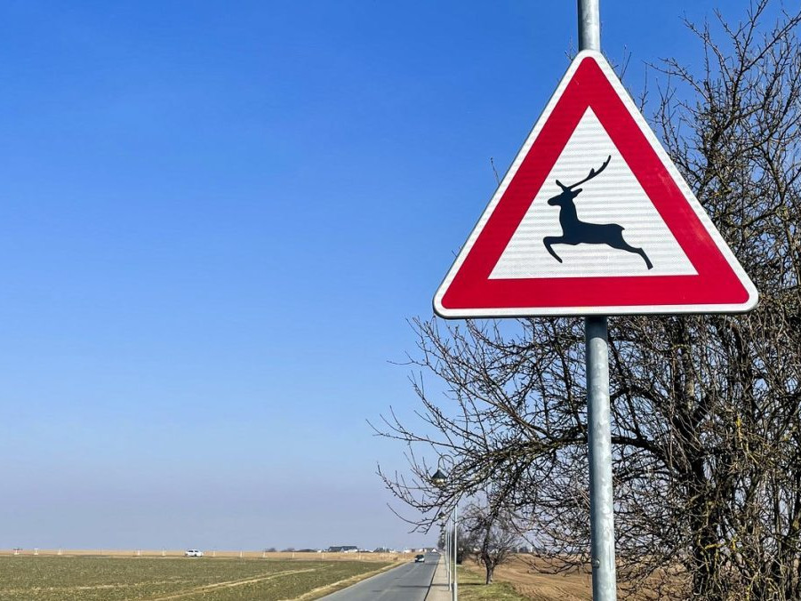 dopravná značka upozorňujúca na lesnú zver