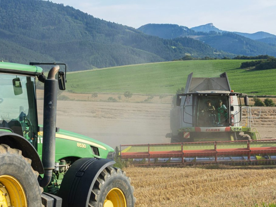 Žatva pšenice pri obci Kamenná Poruba.