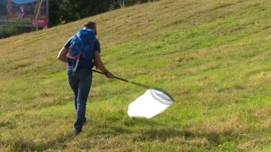 Vedci pod Chopkom skúmajú, aký vplyv majú zjazdovky na druhovú pestrosť zvierat. Robia to podobne ako kriminalisti