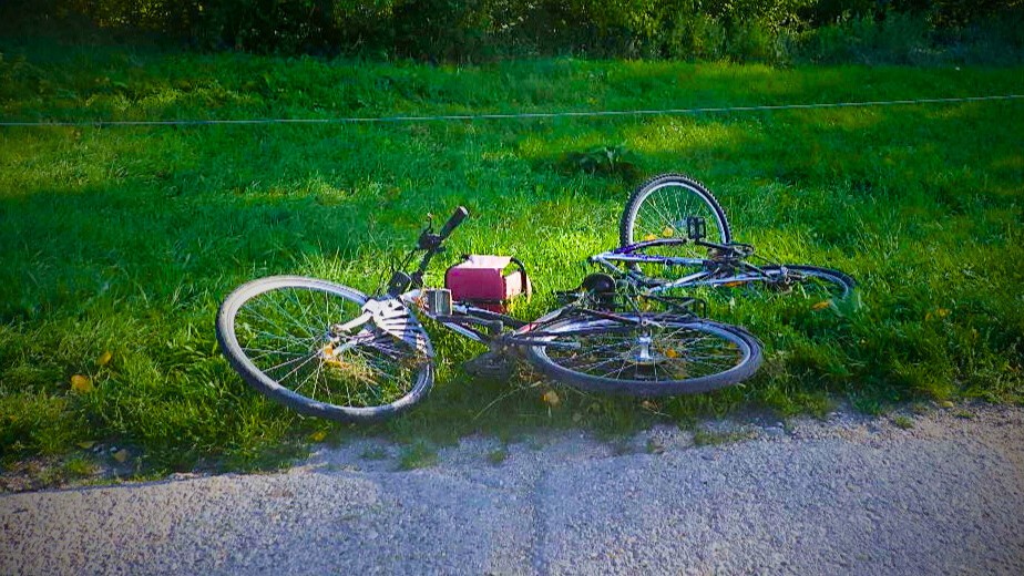 Na snímke je padnutý horský bicykel na trávniku pri ceste.