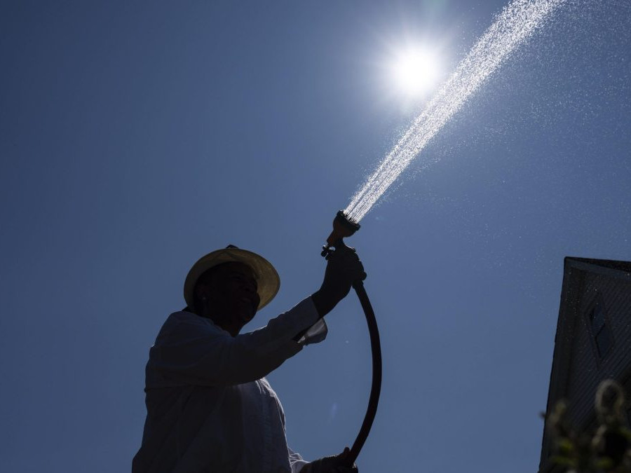 Na snímke muž polieva hadicou plochu pod priamym slnkom.