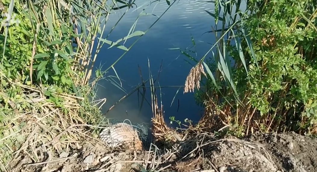 Hasiči zapojili čerpadlá a spustili trojdňovú akciu na záchranu rýb.