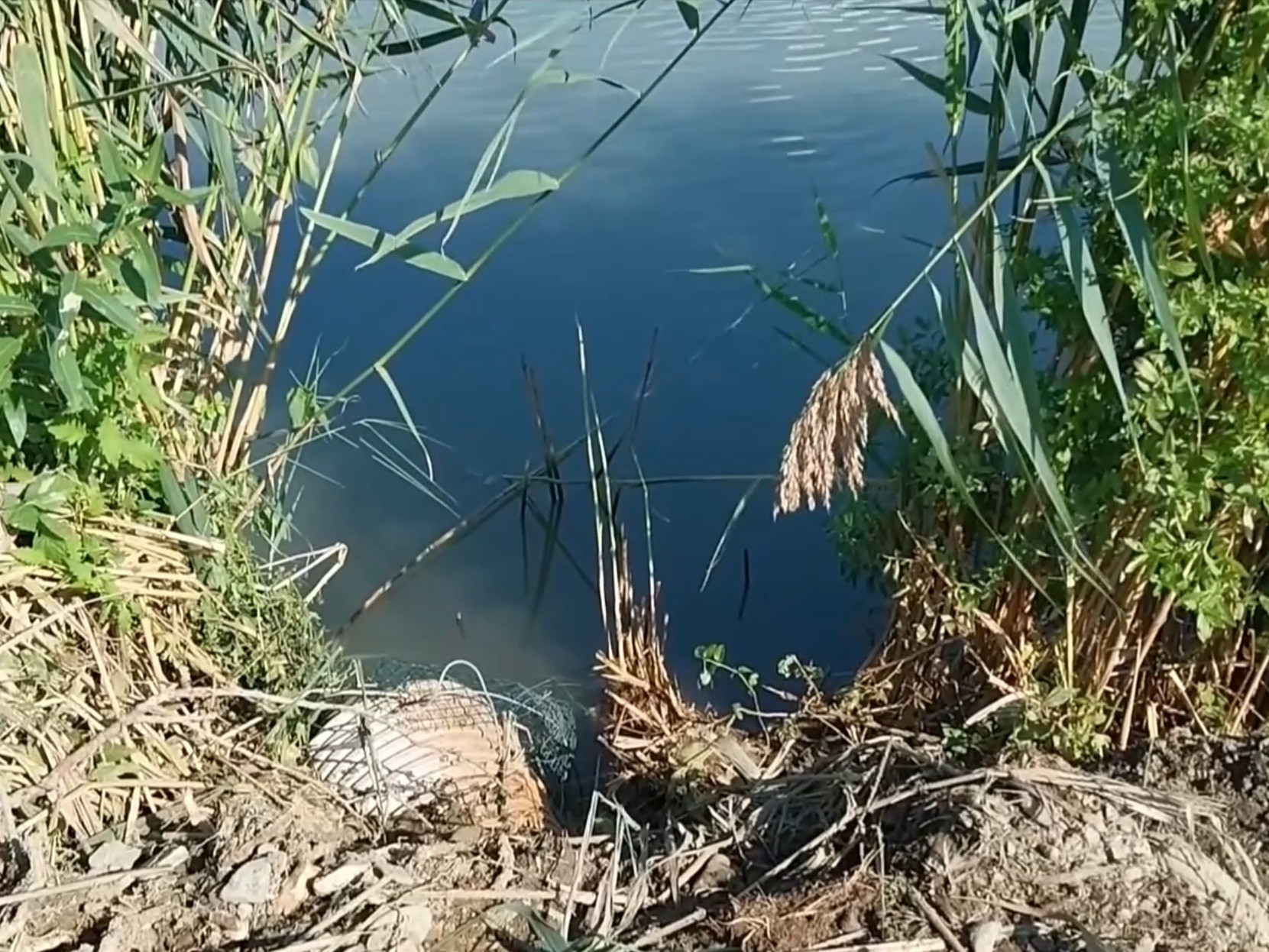 Hasiči zapojili čerpadlá a spustili trojdňovú akciu na záchranu rýb.