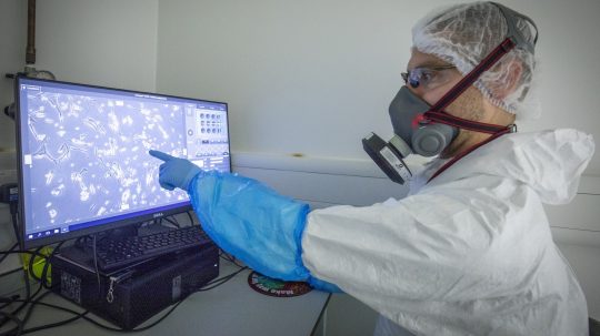 Na snímke vedec v skafandri ukazuje na bunky koronavírusu na monitore.