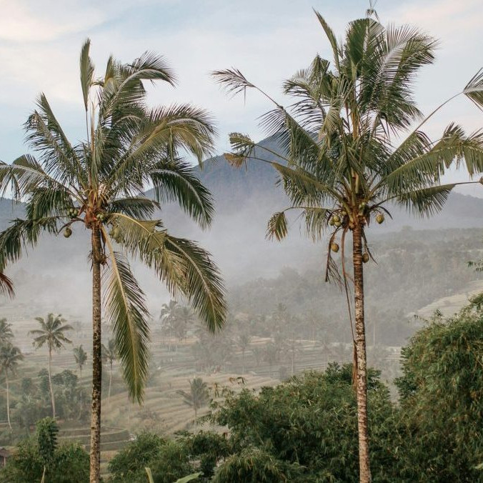 príroda na Bali