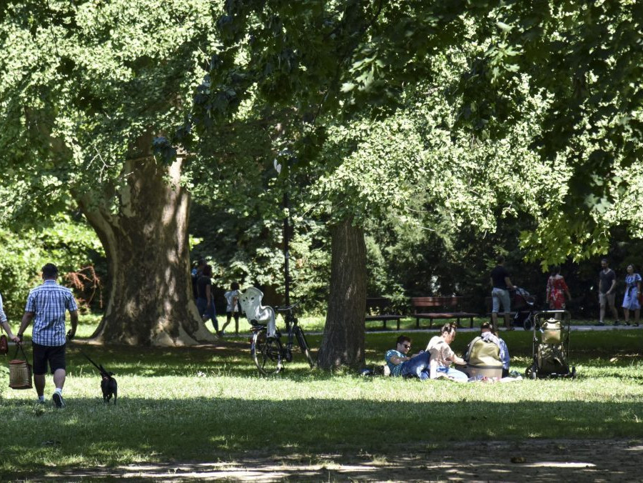 Na snímke Sad Janka Kráľa v Bratislave.