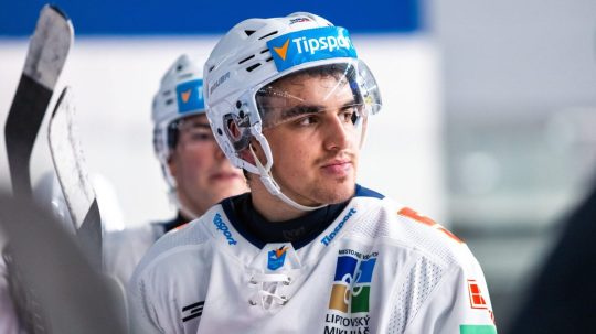 Max Ferkodič
