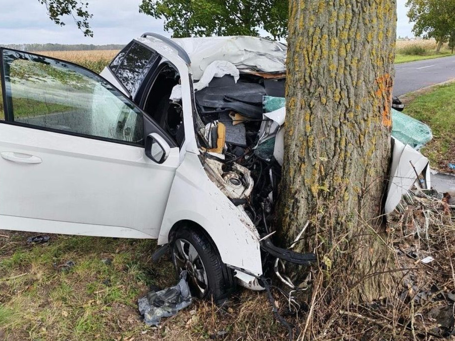 Tragická nehoda pri Dunajskej Strede: Vodič na rovnej ceste prešiel do protismeru a narazil do stromu