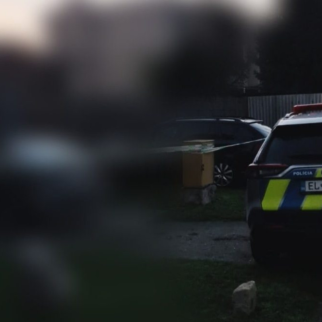 Na snímke policajné auto.
