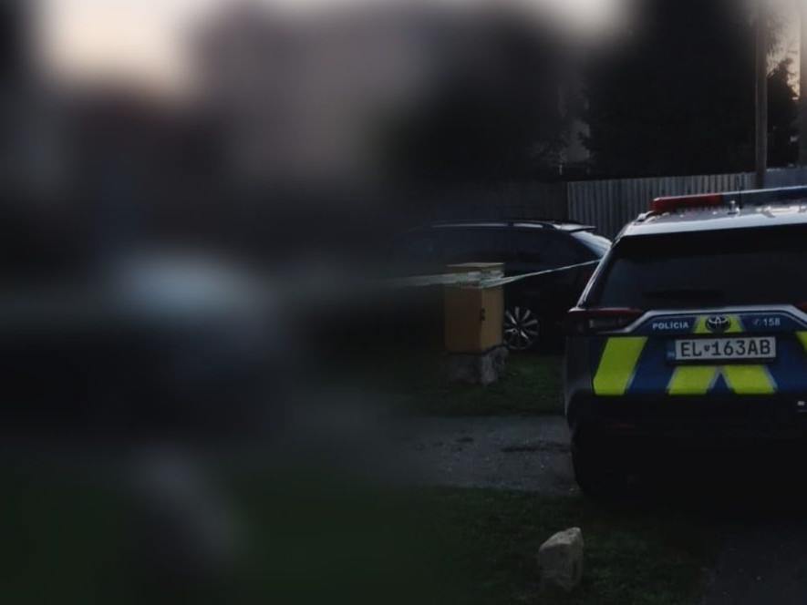 Na snímke policajné auto.