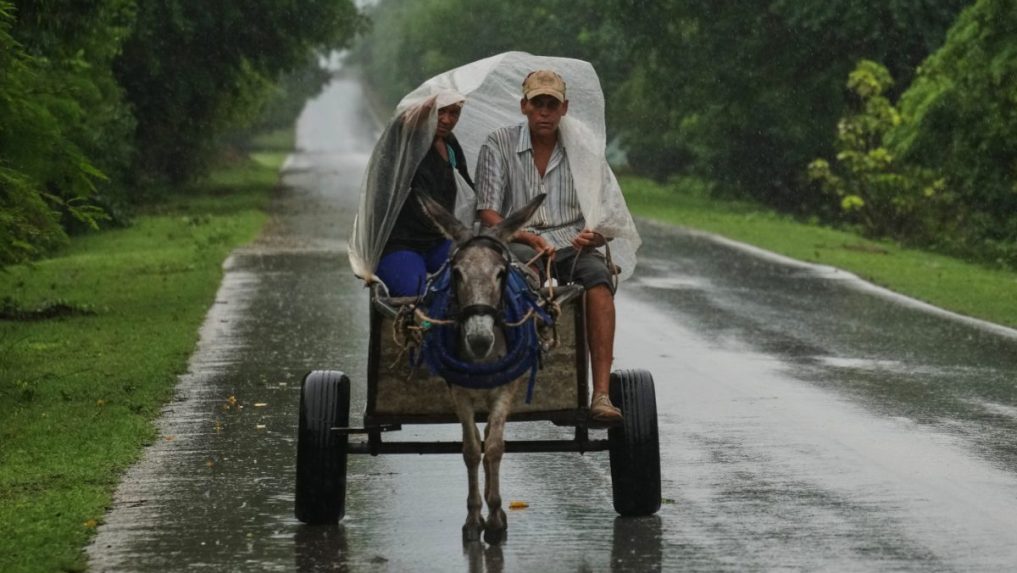 Pár sa vezie pod plachtou na oslom voze v daÃ
¾di.