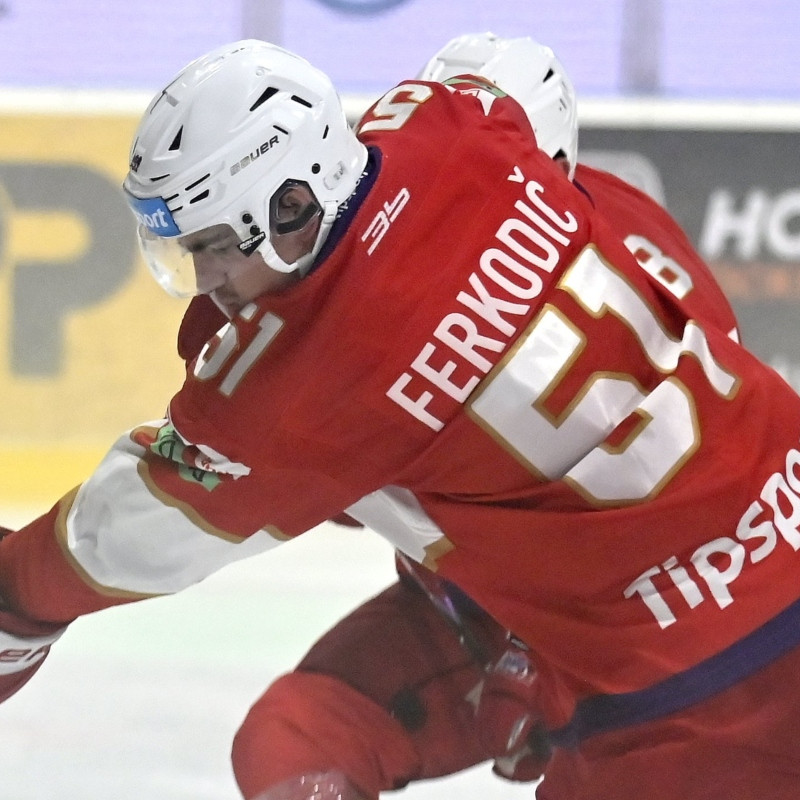 Max Ferkodič