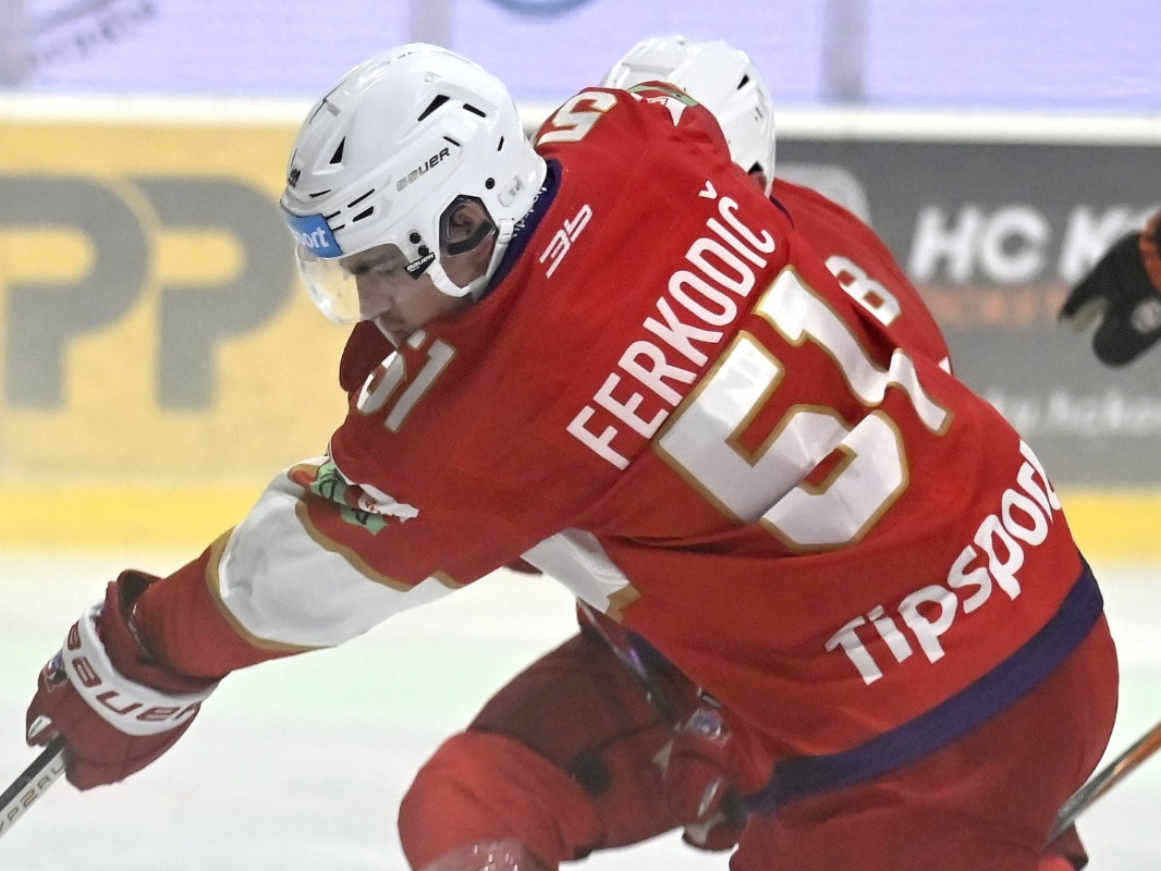 Max Ferkodič
