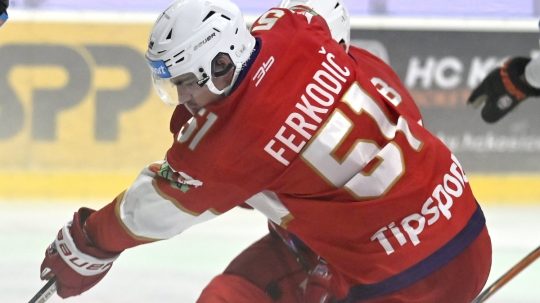 Max Ferkodič