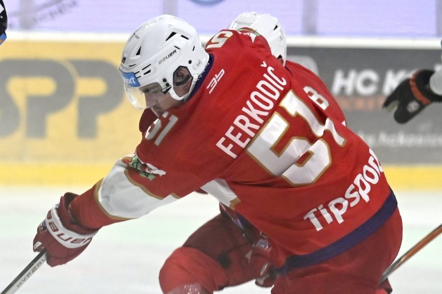 Max Ferkodič