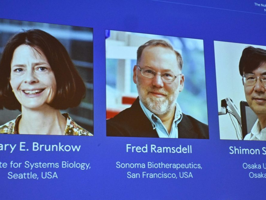 Nobelovu cenu za medicínu získala trojica vedcov za objavy týkajúce sa imunitnej tolerancie