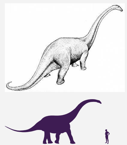 Na kresbe sauropod.