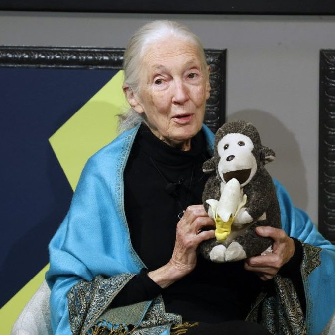 Na snímke Jane Goodall.