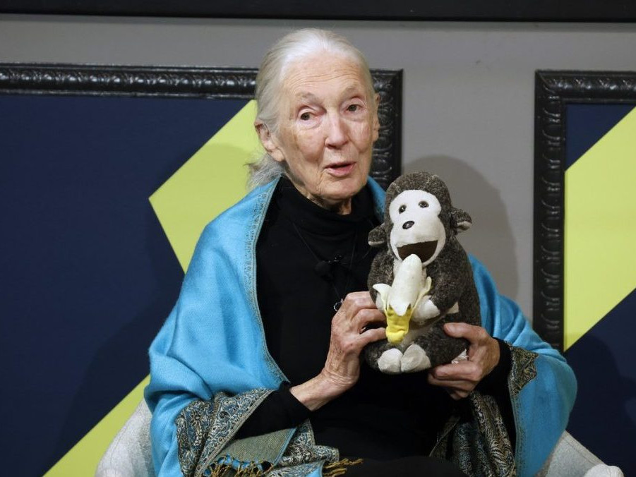 Na snímke Jane Goodall.