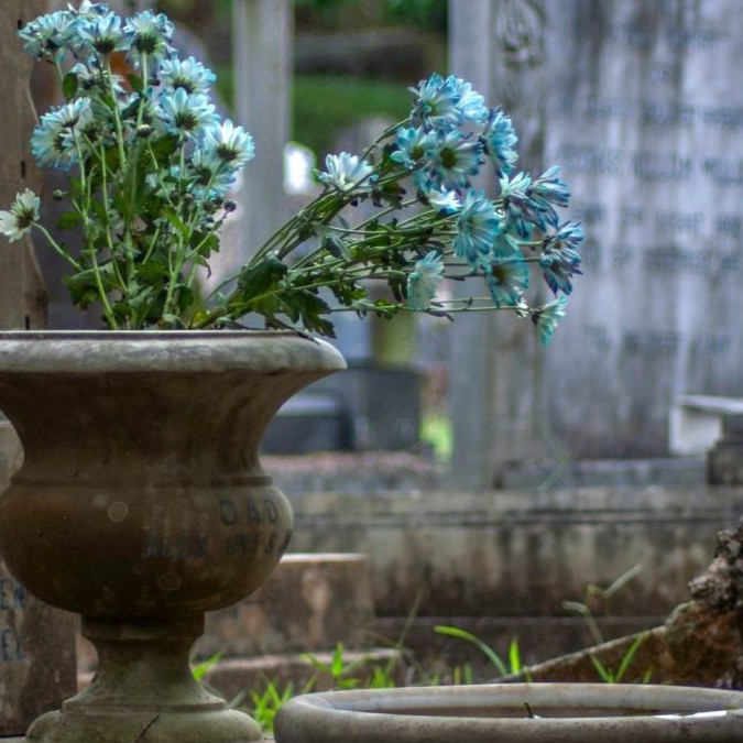 Na snímke kvety na hrobe.