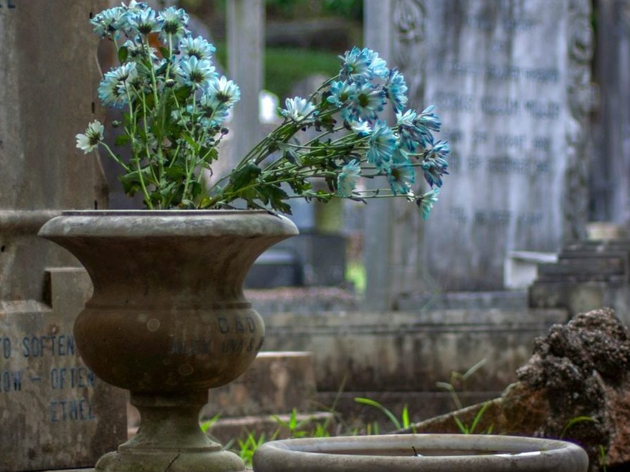 Na snímke kvety na hrobe.