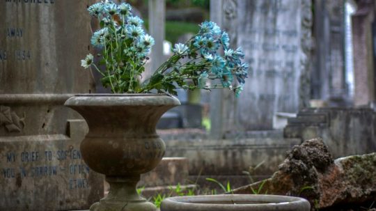 Na snímke kvety na hrobe.