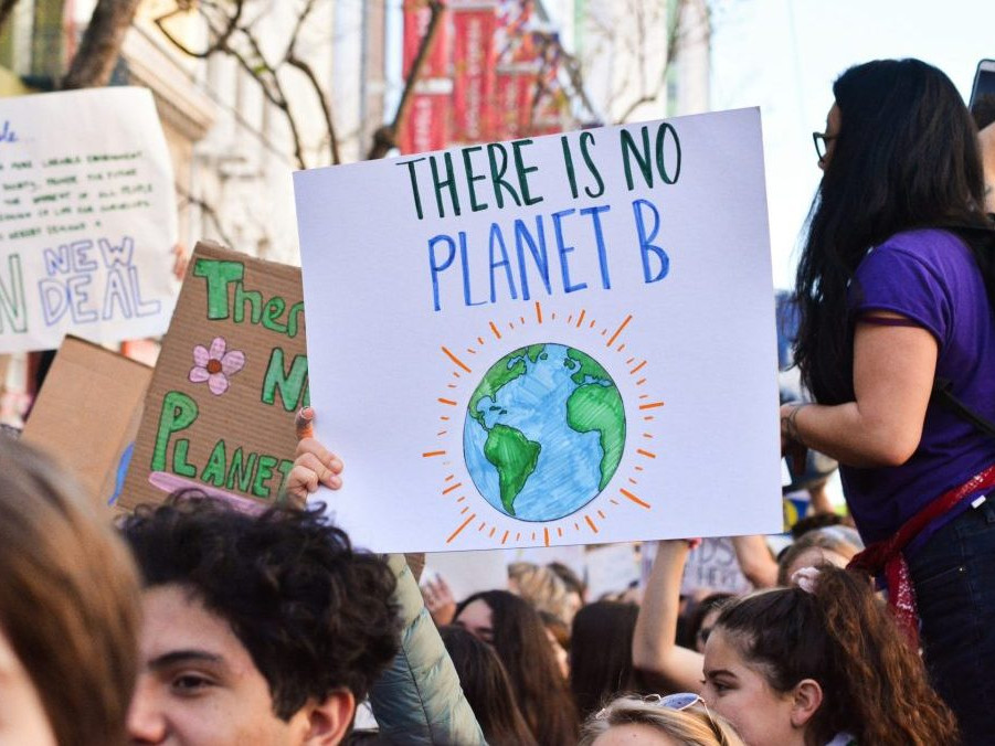 Na snímke protest za klímu.