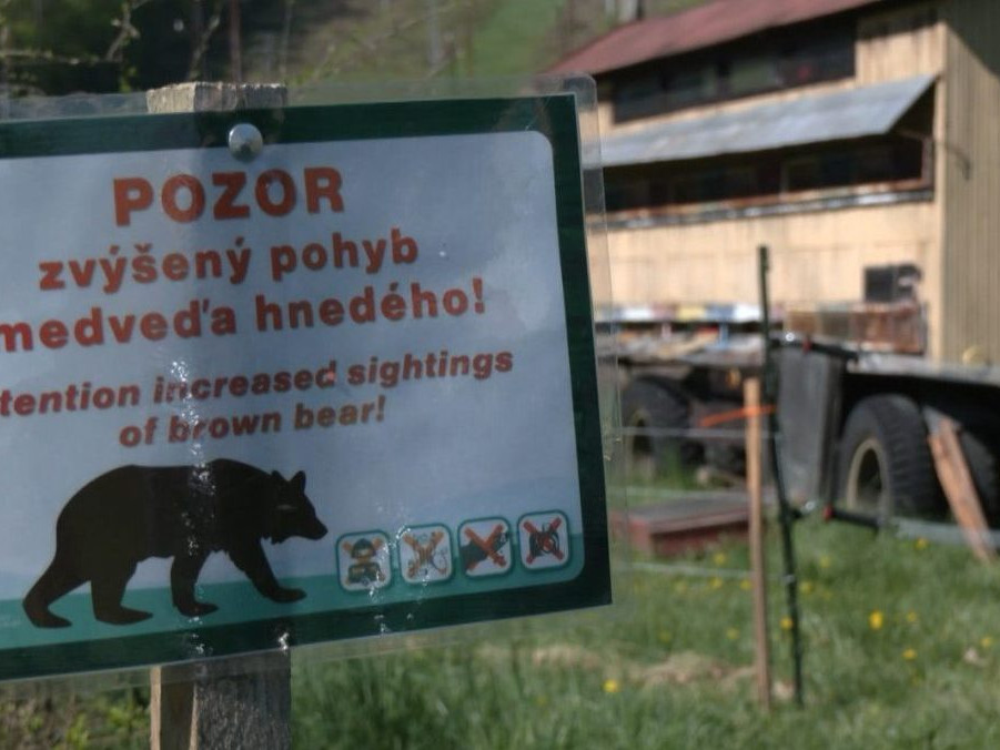 tabuľa s upozornením pred zvýšeným pohybom medveďa