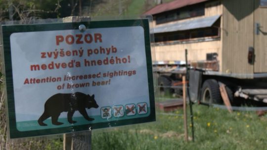tabuľa s upozornením pred zvýšeným pohybom medveďa