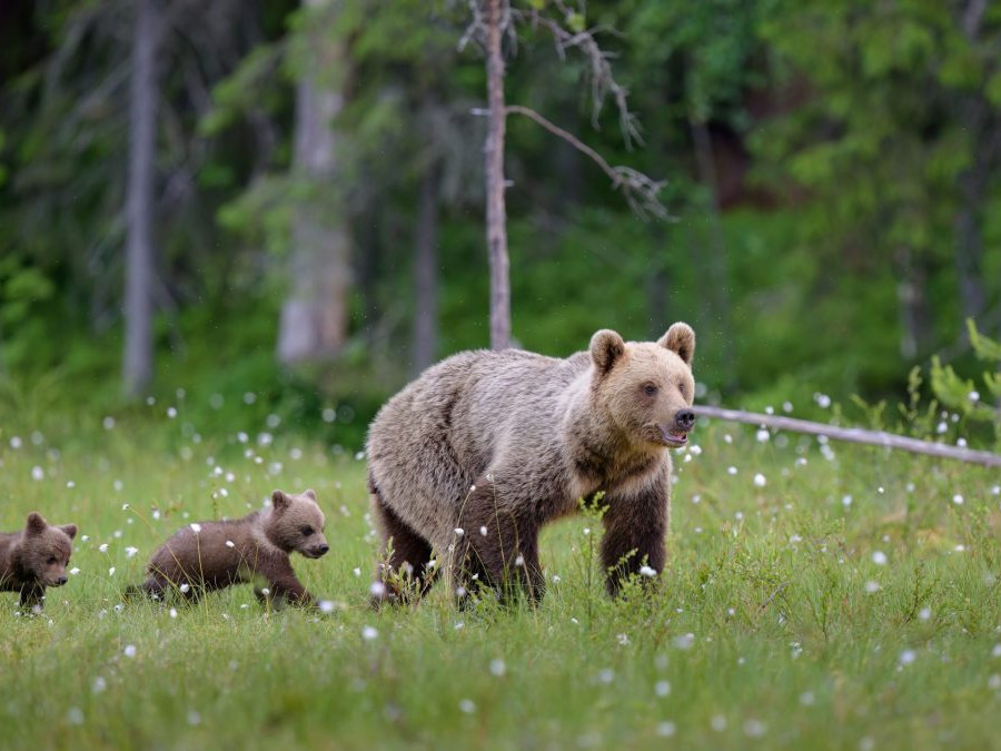 Ilustračná snímka.