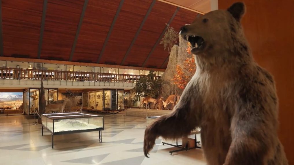 Na snímke interiér Múzea TANAP-u.