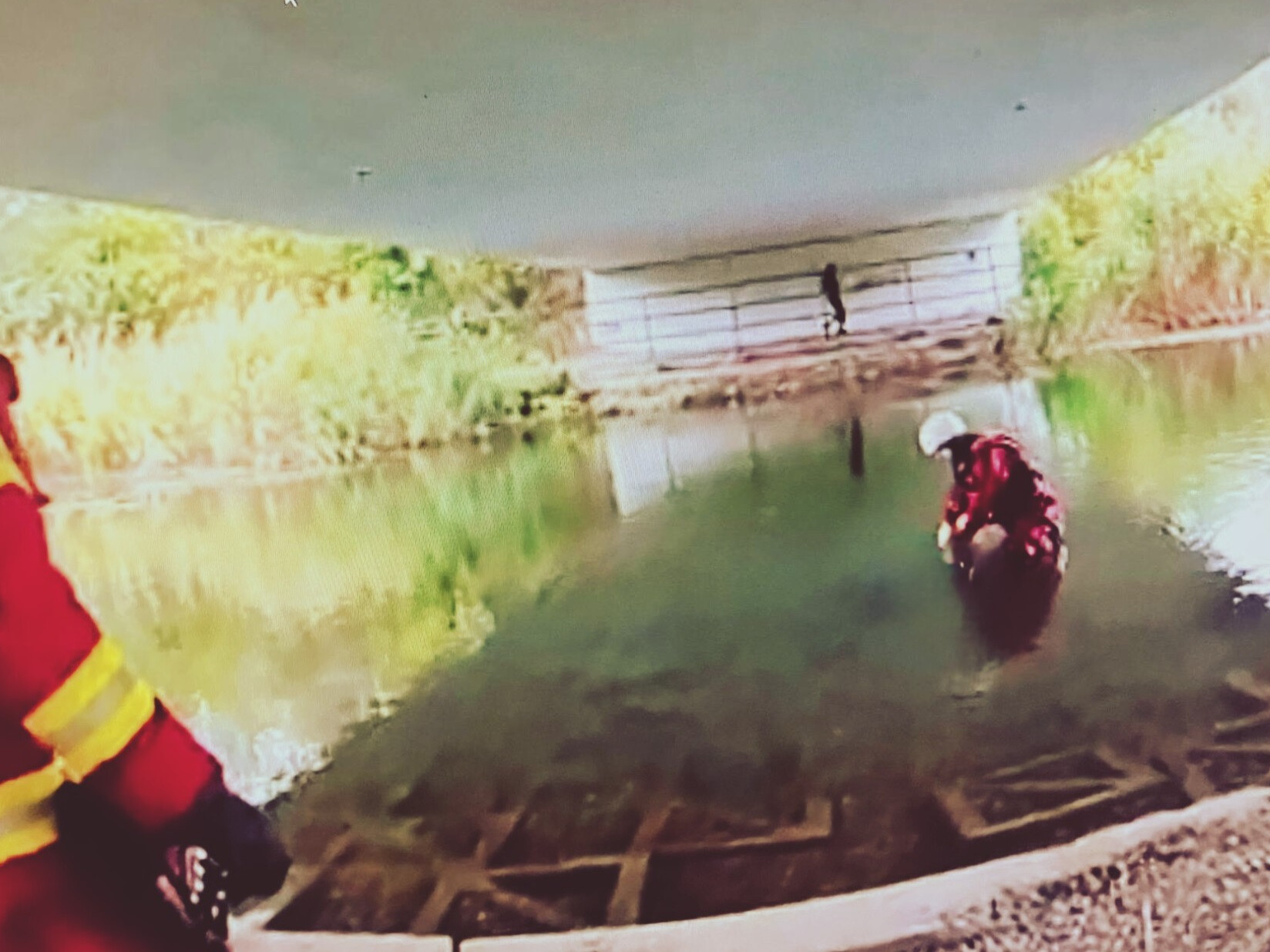 V Petržalke našli mŕtvu ženu.