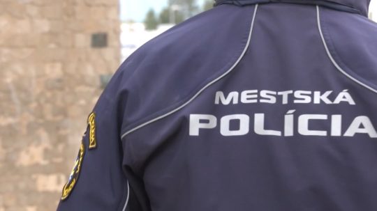 mestský policajt
