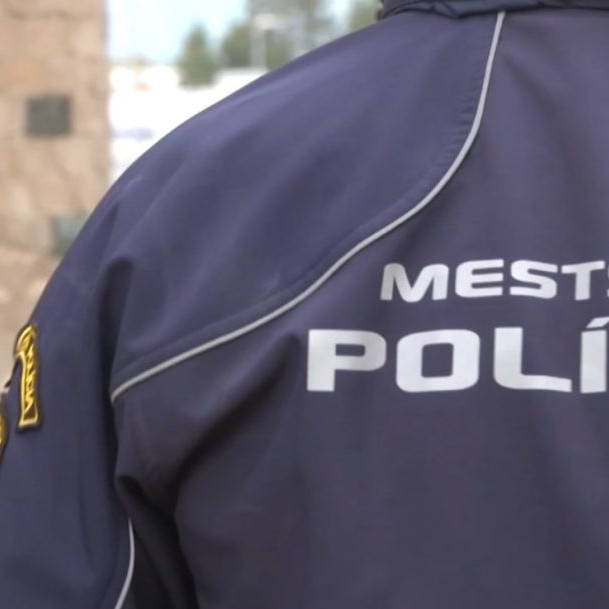 mestský policajt