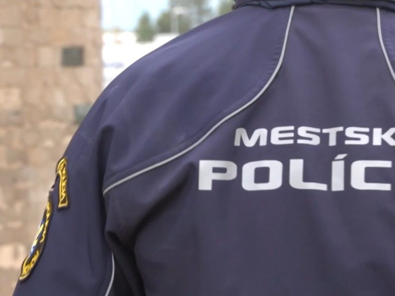 mestský policajt