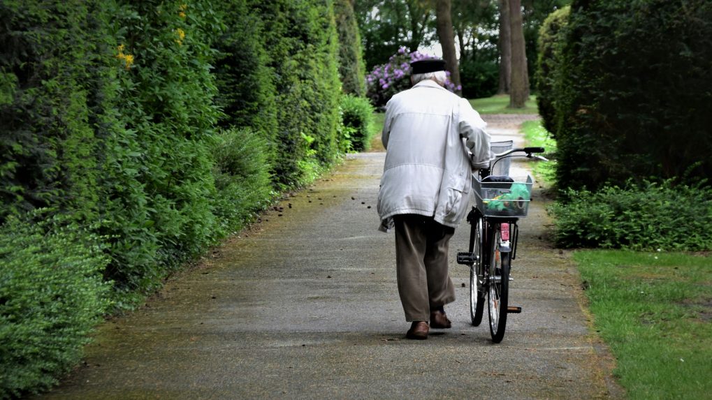 Na snímke je seniorka, ktorá vedľa seba cez park na chodníku tlačí bicykel.
