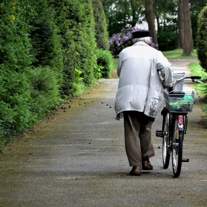 Na snímke je seniorka, ktorá vedľa seba cez park na chodníku tlačí bicykel.