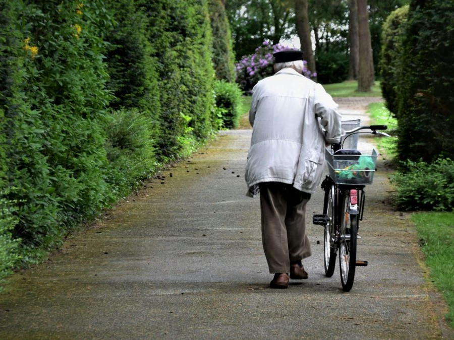 Na snímke je seniorka, ktorá vedľa seba cez park na chodníku tlačí bicykel.