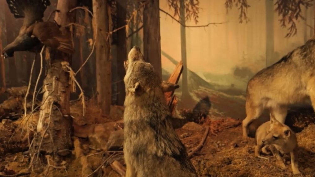 Na snímke jedna z diorám Múzea TANAP-u.