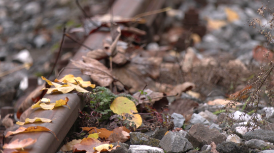 Na snímke lístie na koľajniciach.