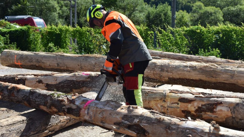 expedičný sklad štátneho podniku Lesy SR