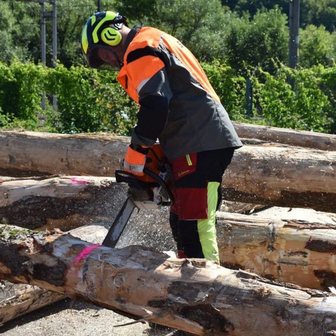 expedičný sklad štátneho podniku Lesy SR